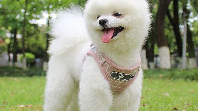 冷库压缩机型号全解析：揭秘选型背后的逻辑